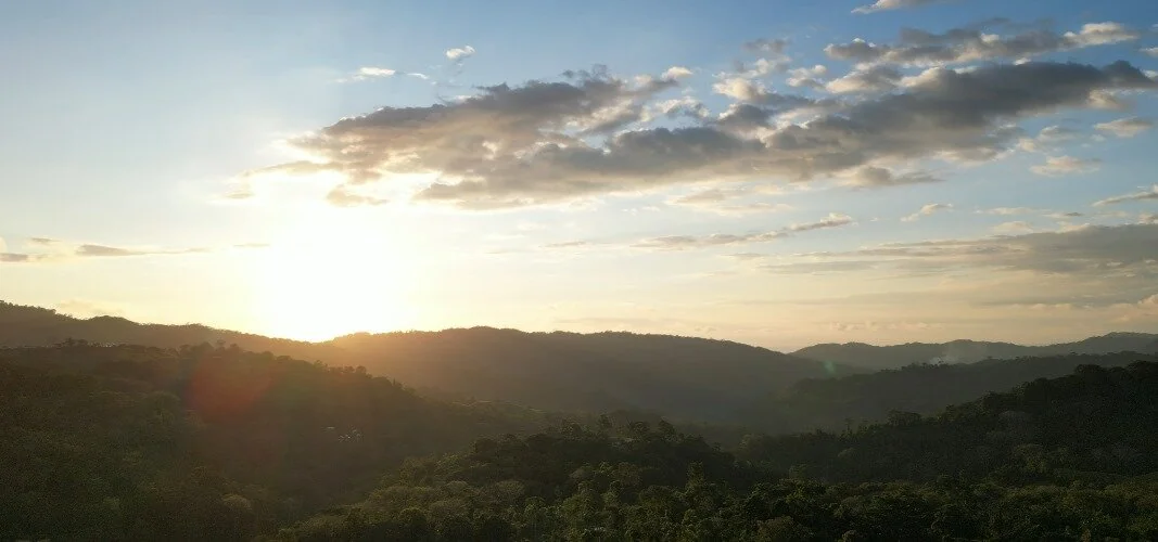Costa Rica jungle
